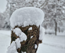 Зошто трчањето во зима е корисно