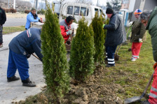 Голема акција за пошумување  на територијата на општина Кисела Вода