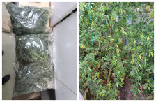 Падна семеен бизнис кај гевгелиско: Таткото одгледувал, синот продавал