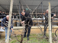 Илинден го одбележа Свети Трифун: Градоначаникот го закрои лозјето