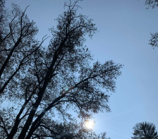 Студено утро во Македонија – По минусните температури следи пресврт