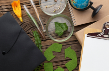 Клучната улога на образованието во промоција на одржливи навики за управување со био отпадот