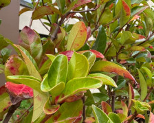 УХМР со викенд временска прогноза