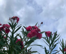 Од минус до 19 степени – УХМР со убави вести за времето