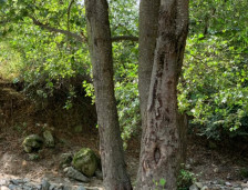 Од -5 на 20 степени – Температурите утринава низ Македонија