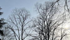 Уживајте во утрешното сонце, од сабота попладне следува пресврт