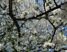 Уживајте денеска во сонцето – Од утре голем пресврт со времето
