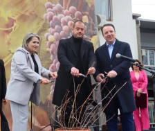 Директор именуван од актуелната власт приведен за мито