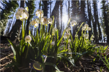Времето оваа недела шарено: Ред дожд, ред сонце, благ раст на температурите