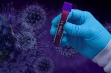 „Цикада“ се шири, но засега нема доказ дека е поопасна