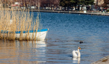Охридското Езеро е преполно