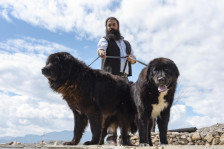 Караманот официјално признат како македонска автохтона овчарска раса