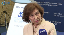 На бугарските журналисти им пречи што Сиљановска-Давкова побара да ѝ поставуваат прашања на англиски