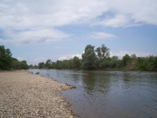 Црн ден во Србија, три деца се удавија, Морава донесе две трагедии