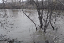 ЦУК: Стабилна состојба на реките по обилните врнежи, се расчистуваат мостови | Сител Телевизија