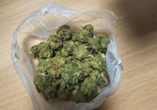 Приведен скопјанец, при претрес на неговиот дом пронајдени се 2 килограми марихуана | ВИДЕО | Сител Телевизија