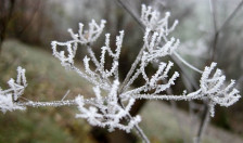 Студено утро, најниска температура измерена во Берово | Сител Телевизија