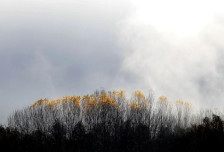 Најстудено во Берово и Виница | Сител Телевизија