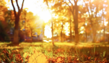 Идната недела сончево и тивко, со надпросечни температури | Сител Телевизија