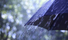 Најмногу дожд во Маврови Анови | Сител Телевизија