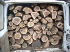 Приведен дрвокрадец од село Мартолци, Општина Чашка | Сител Телевизија