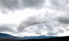 Утринска магла, а потоа повремен дожд и снег | Сител Телевизија