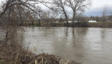 Зголемено нивото на повеќе реки | Сител Телевизија