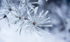 Студен бран со снег и силен јужен ветер, најобилни врнежи во западните делови | Сител Телевизија