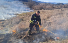 Брза интервенција на ДПД-Пехчево спречи поголем пожар кај село Црник | Сител Телевизија