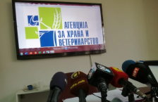 АХВ: Градоначалникот Митовски да не се иззема од одговорност за решавање на проблемот со говедата кои лутаат низ Крива Паланка | Сител Телевизија