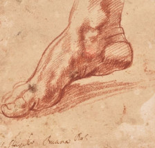 Цртеж на Микеланџело од пред 500 години, продаден за 27,2 милиони долари | Сител Телевизија