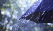 Променливо облачно со локални врнежи од дожд | Сител Телевизија