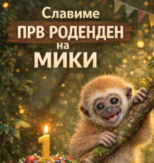 Скопската Зоолошка организира прослава за првиот роденден на гибонот Мики | Сител Телевизија