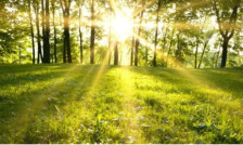 Сончево со мала до умерена локална облачност и температура до 20 степени | Сител Телевизија