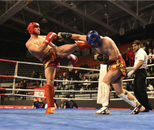 Македонија со 17 кикбоксери на Светскиот куп во Италија – над 2400 борци од 46 држави | Сител Телевизија