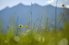 Утрово најтопло во Скопје и Велес, најстудено на Попова Шапка и во Берово | Сител Телевизија