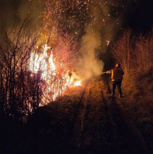 Десет пожари за десет дена во Крива Паланка | Сител Телевизија