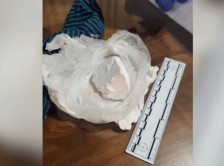 Уапсени 8 дилери на кокаин | Сител Телевизија