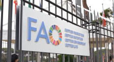 Поскапе храната во светот, објави ФАО | Сител Телевизија