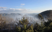 Пожар кај Арбанашко, Старо Нагоричане изгореа сува трева, смрека и дабова шума | Сител Телевизија