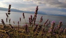 Викендов променливо облачно со сончеви периоди | Сител Телевизија