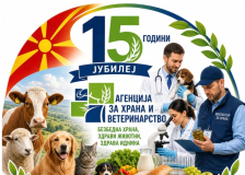 АХВ одбележува 15 години постоење | Сител Телевизија