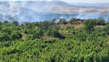 Стабилна е состојбата на штипјанецот кој вчера се здоби со изгореници од втор степен гаснејќи пожар во неговата викендица | Сител Телевизија