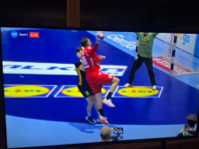 Срамна одлука на судиите на штета на Унгарија: Шведска доби подарок бод! - SportStation.mk