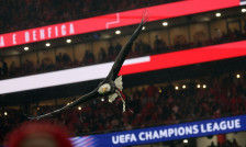 Бенфика возвраќа на ударот: „Престијани е жртва на кампања за клевета, целосно му веруваме!“ - SportStation.mk