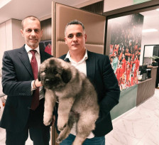 Чеферин од Скопје си заминa со нов член на семејството - шарпланинецот Македон! - SportStation.mk