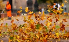 Облачно со температури до 19 степени