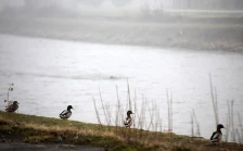 Променливо облачно со магла во котлините, од утре дожд и постудено