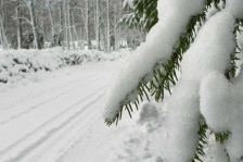 Времето денеска облачно со врнежи од дожд и снег