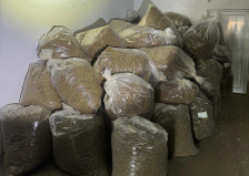 Претреси во објекти за марихуана поврзани со петте тони запленети во Србија